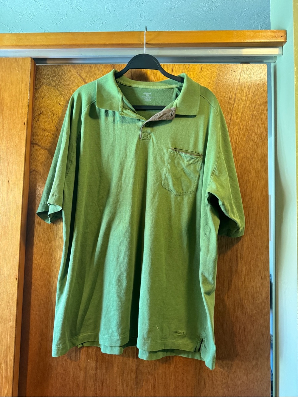 Patagonia polo